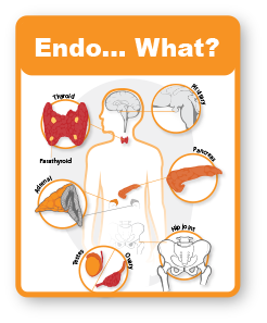 What Is Endocrinology?